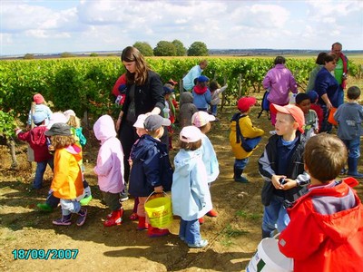 vendanges 023.jpg