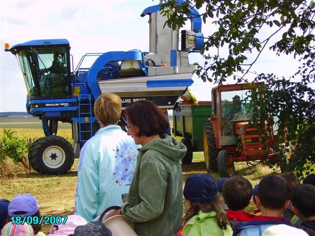 vendanges 025.jpg