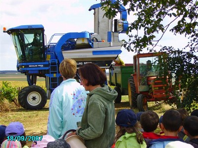 vendanges 025.jpg