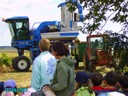 vendanges 025.jpg