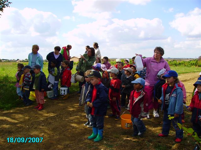 vendanges 026.jpg