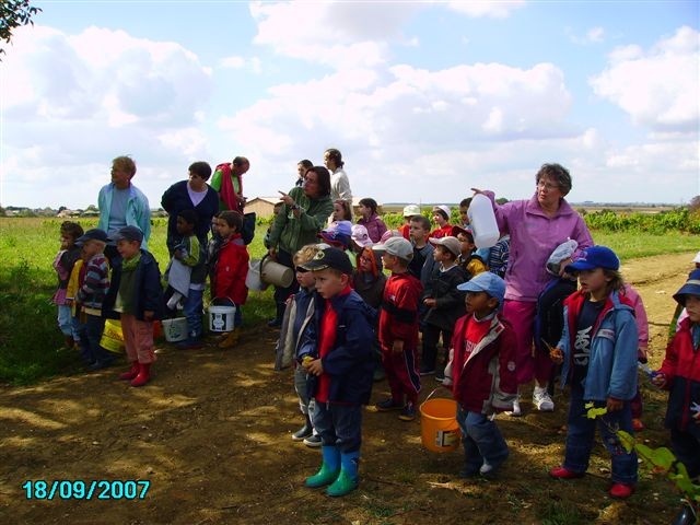 vendanges 026.jpg