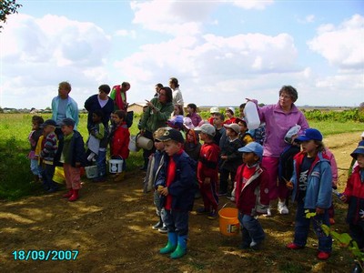 vendanges 026.jpg