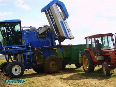 vendanges 028.jpg