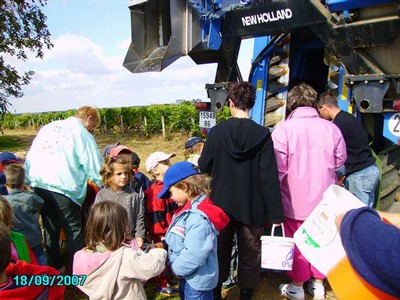 vendanges 031.jpg