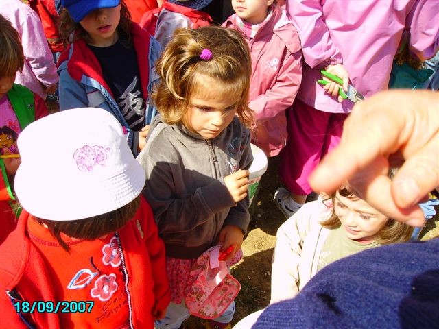 vendanges 033.jpg