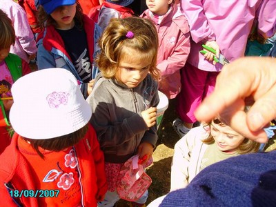 vendanges 033.jpg