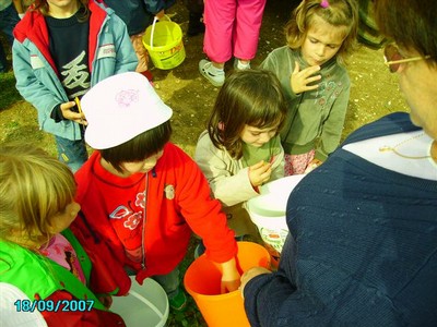 vendanges 034.jpg