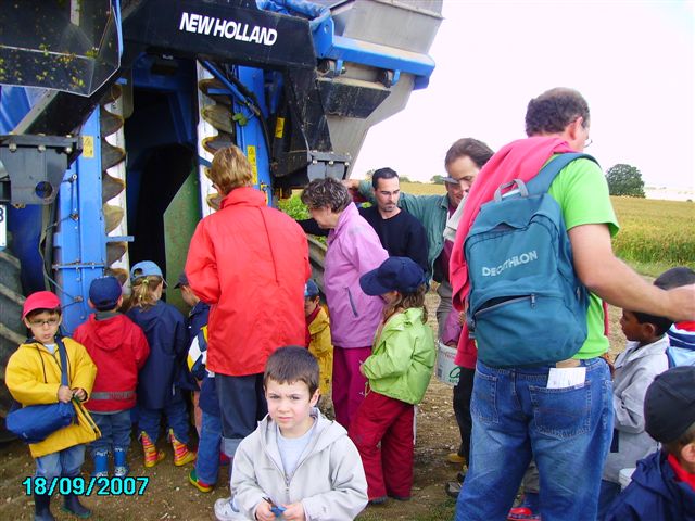 vendanges 036.jpg