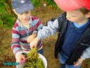 vendanges 039.jpg