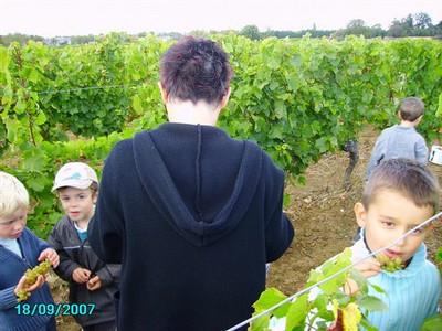 vendanges 042.jpg
