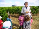 vendanges 050.jpg