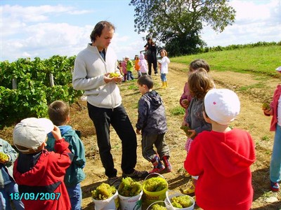 vendanges 052.jpg