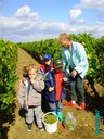 vendanges 056.jpg