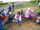 vendanges 059.jpg