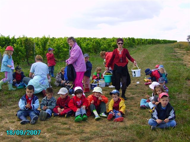 vendanges 060.jpg