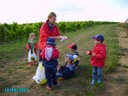 vendanges 065.jpg