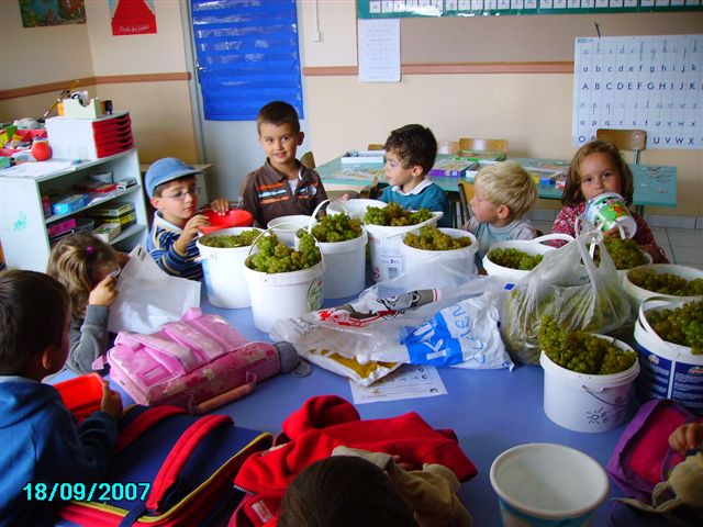 vendanges 071.jpg