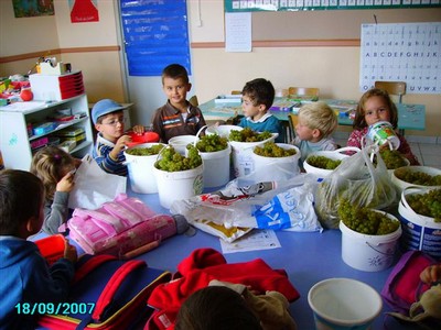 vendanges 071.jpg