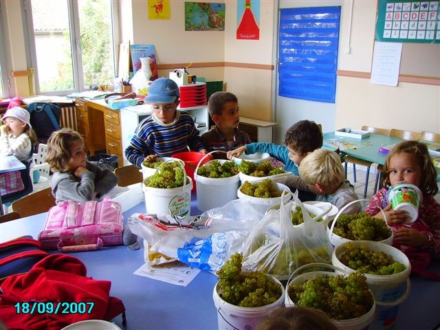 vendanges 072.jpg