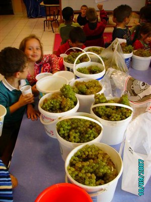 vendanges 083.jpg