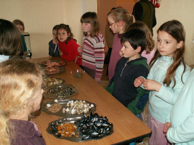 PICT0095.JPG