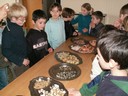 PICT0096.JPG