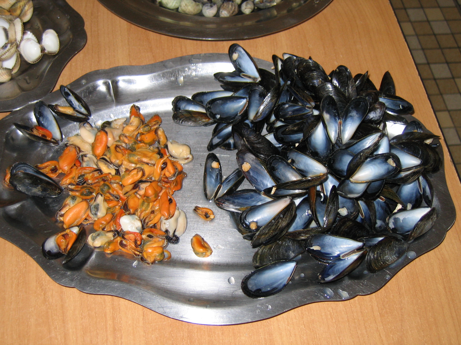 classe de mer a Bretignolles 025.jpg