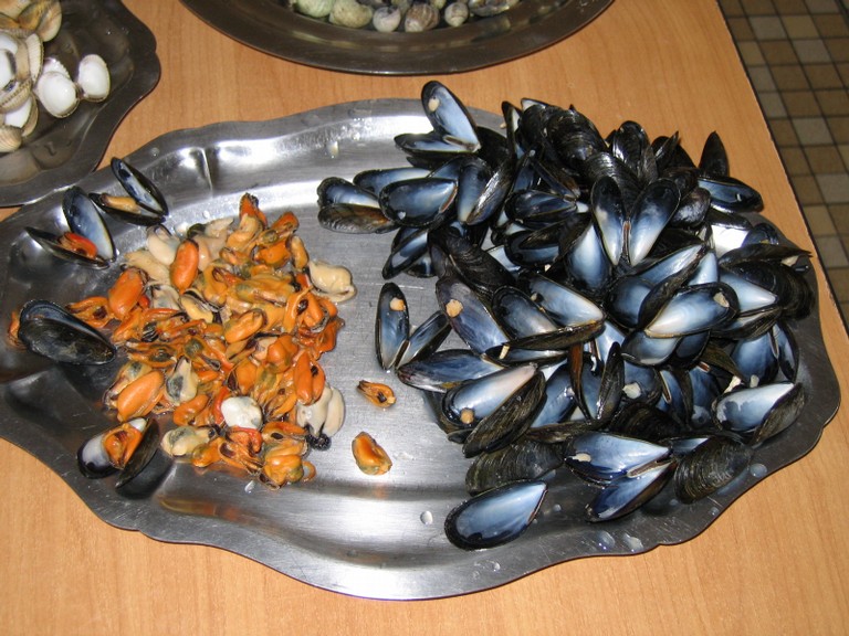 classe de mer a Bretignolles 025.jpg