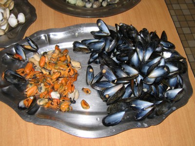 classe de mer a Bretignolles 025.jpg