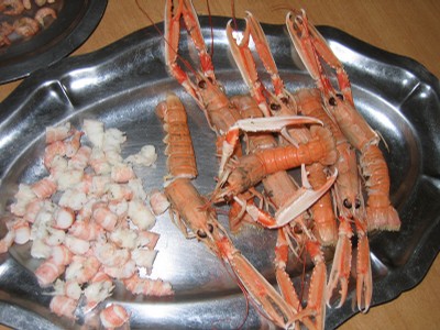 classe de mer a Bretignolles 032.jpg