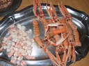 classe de mer a Bretignolles 032.jpg
