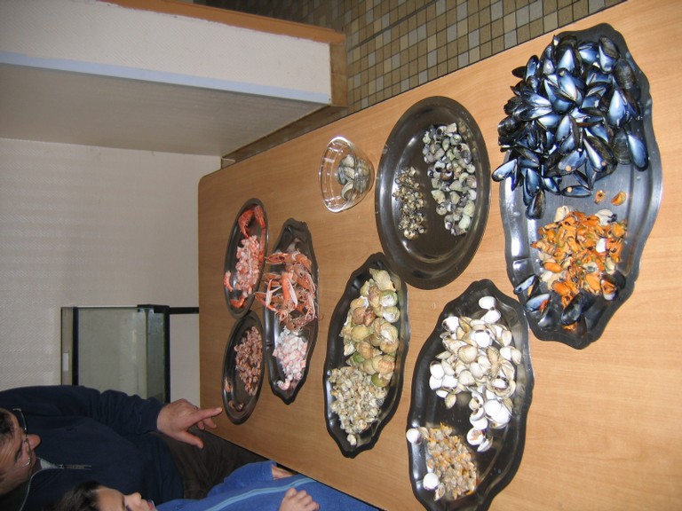 classe de mer a Bretignolles 035.jpg