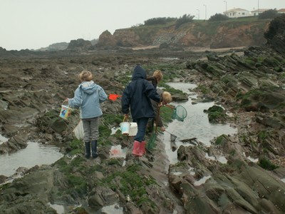 PICT0074.JPG
