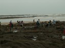 PICT0077.JPG