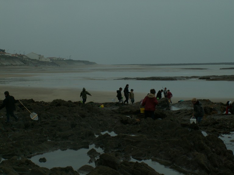 PICT0078.JPG