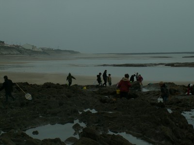 PICT0078.JPG