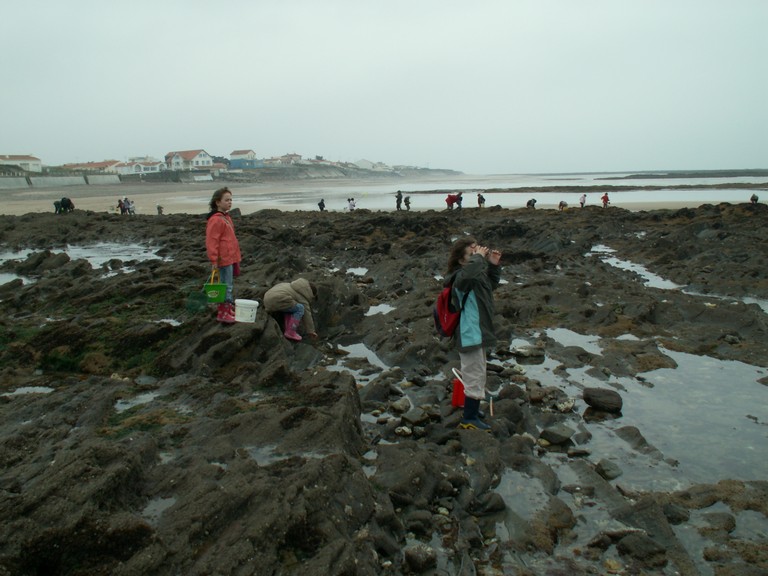 PICT0079.JPG