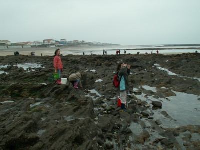 PICT0079.JPG