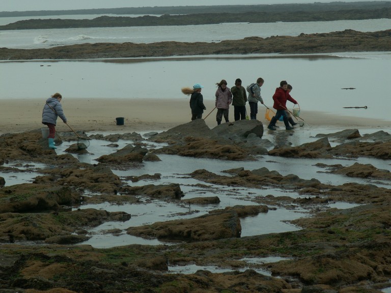 PICT0081.JPG