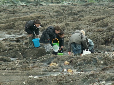 PICT0082.JPG