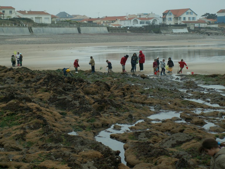 PICT0091.JPG
