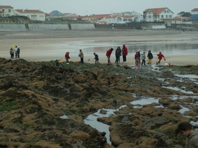 PICT0091.JPG