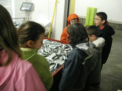 KIF_2420.JPG