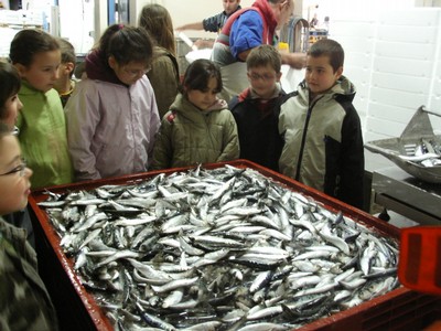 KIF_2421.JPG