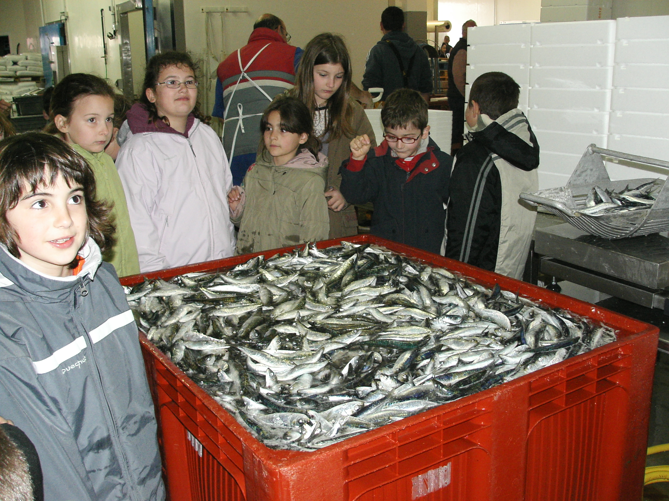 KIF_2422.JPG