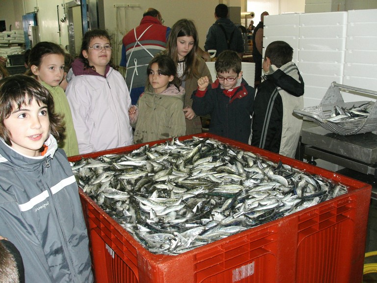 KIF_2422.JPG