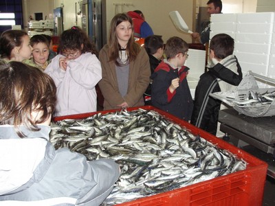 KIF_2423.JPG