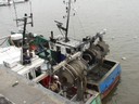 KIF_2441.JPG