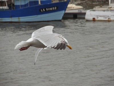 KIF_2443.JPG